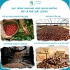 Cà phê Robusta Natural Dark 100% - Đắng mạnh, phù hợp pha phin, giảm 20% 3