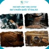 Cà phê Robusta Natural Dark 100% - Đắng mạnh, phù hợp pha phin, giảm 20% 4