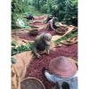 Cà phê Robusta rang xay nguyên chất 500g - Giảm còn 130.000đ, hương thơm ngon 2