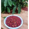 Cà Phê Tấn Ngọc Thượng Hạng Moka Ban Mê Thuột 1KG - Gu Mạnh Vị Đậm, Rang Xay Pha Phin | Gilman Home 7