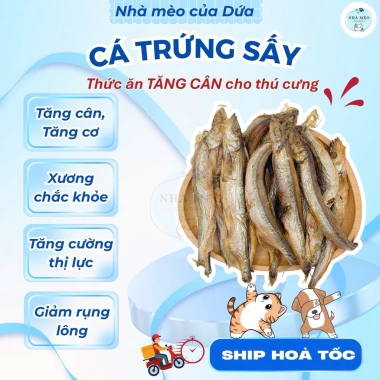 Cá sấy trứng khô cho chó mèo - Giảm rụng lông, bổ sung Canxi, giá chỉ 41.580 ₫