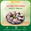 Cá Tầm Nga Sống Nguyên Con Hỏa Tốc TP.HCM Size 1.3-3kg Ngọc Minh Anh Giá 285k