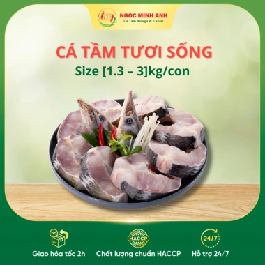 Cá Tầm Nga Sống Nguyên Con Hỏa Tốc TP.HCM Size 1.3-3kg Ngọc Minh Anh Giá 285k
