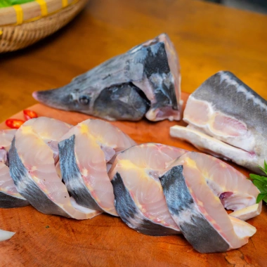 Cá Tầm Nga Sống Nguyên Con Hỏa Tốc TP.HCM Size 1.3-3kg Ngọc Minh Anh Giá 285k 4 Cá Tầm Nga Sống Nguyên Con Hỏa Tốc TP.HCM Size 1.3-3kg Ngọc Minh Anh Giá 285k 4
