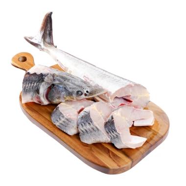 Cá Tầm Nga Sống Nguyên Con Hỏa Tốc TP.HCM Size 1.3-3kg Ngọc Minh Anh Giá 285k 8 Cá Tầm Nga Sống Nguyên Con Hỏa Tốc TP.HCM Size 1.3-3kg Ngọc Minh Anh Giá 285k 8