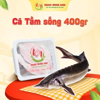 Cá Tầm Nga thịt trắng 400gr đã sơ chế - Giá ưu đãi 145k, giao nhanh TP.HCM