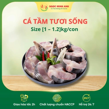 Cá Tầm Tươi Ngọc Minh Anh Size 1-1.2kg Hỏa Tốc TP.HCM - Giá ưu đãi 220k