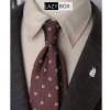 Cà vạt Caravat nam công sở Sartorial Guys 8cm tone đỏ nâu - Giá chỉ 175.000đ