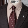 Cà vạt Caravat nam công sở Sartorial Guys 8cm tone đỏ nâu - Giá chỉ 175.000đ 2