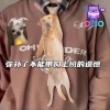 Cà Vạt Chó Bulldog Pháp Độc Đáo - Phong Cách Sành Điệu, Quà Tặng Party Giá Rẻ 3