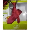 Cà vạt dây kéo thắt sẵn chụp kỷ yếu học sinh - Rẻ đẹp, giá chỉ 26.350₫ 3