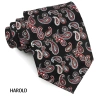 Cà vạt Harold Paisley 10cm - Chống nhăn, chống bụi, thời trang cao cấp, giảm giá 250.000đ 5
