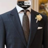 Cà vạt nam Polysilk sang trọng bản 8cm - nhiều mẫu họa tiết, giá ưu đãi 175k 7