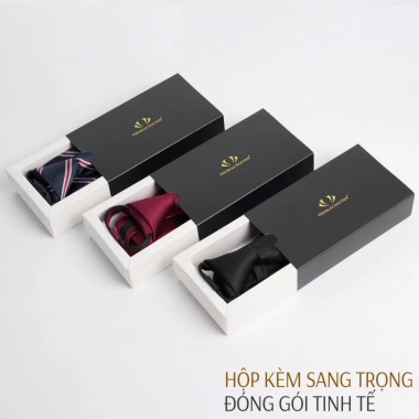 Cà Vạt Thắt Sẵn Tiện Lợi - Đa Dạng Mẫu, Dễ Sử Dụng, Giá Chỉ 99.000đ 4