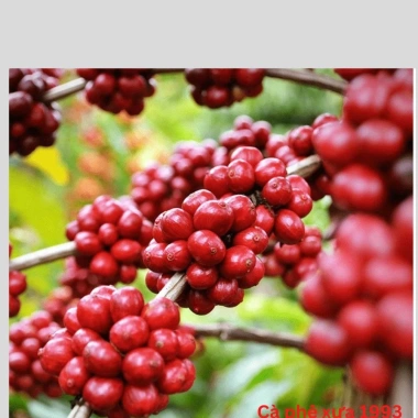 Cafe Mộc Nguyên Chất - Cafe Xưa 1.993 Giá ưu đãi 150.000₫, hương vị đậm đà 6