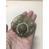 Cài áo hình nón/mũ thời trang - Giá chỉ 15.000đ, giảm từ 19.500đ, chất liệu nhẹ 9