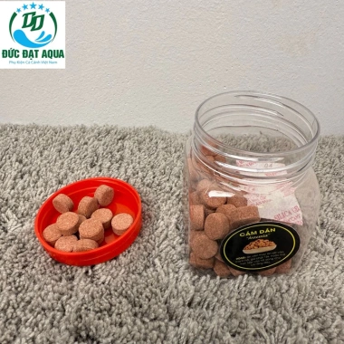 Cám cá ARTEMIA cam rán trùng huyết siêu đạm, tảo xoắn sấy khô 50-100g giàu dinh dưỡng TOP 1 thức ăn cho cá con 8