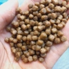 Cám cá Cagill 1kg hạt 6mm siêu đạm - mồi câu dính chép, coi, rô, giảm còn 38k 6
