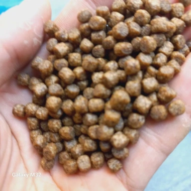 Cám cá Cagill 1kg hạt 6mm siêu đạm - mồi câu dính chép, coi, rô, giảm còn 38k 6