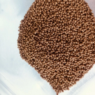 Cám cá Koi 3kg - Tăng size mạnh, lên màu chuẩn, chỉ 45k cho cá cảnh & chép