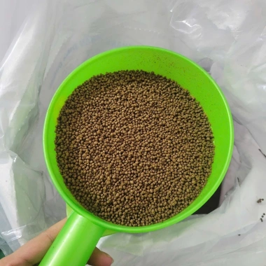 Cám cá Koi 3kg - Tăng size mạnh, lên màu chuẩn, chỉ 45k cho cá cảnh & chép