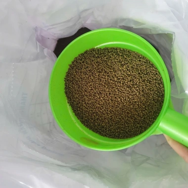 Cám cá Koi 3kg - Tăng size mạnh, lên màu chuẩn, chỉ 45k cho cá cảnh & chép