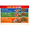 Cám cá Koi Kingfeed Việt Nhật – Tăng trưởng 42% đạm, không váng dầu, body tròn màu chuẩn, 25.000 VND 2