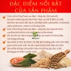 Cám cá Koi Kingfeed Việt Nhật – Tăng trưởng 42% đạm, không váng dầu, body tròn màu chuẩn, 25.000 VND 3