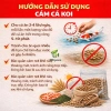 Cám cá Koi Kingfeed Việt Nhật – Tăng trưởng 42% đạm, không váng dầu, body tròn màu chuẩn, 25.000 VND 4