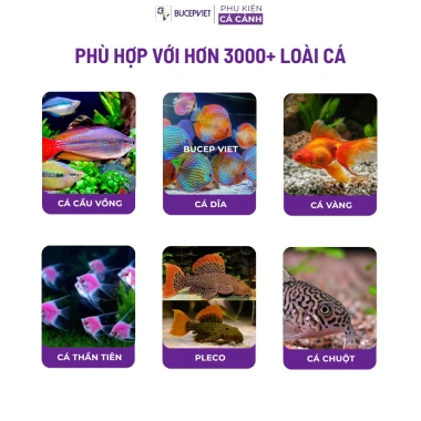 Cám cao cấp Hikari Mix 5in1 Red Thức ăn trùng huyết đỏ, kích size, hỗ trợ tiêu hoá cá