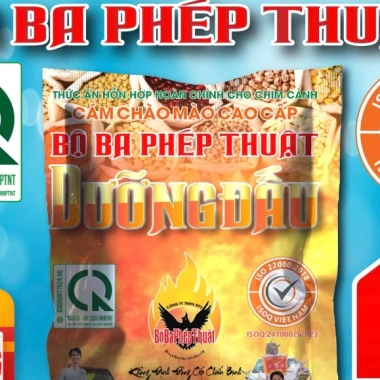 Cám Chào Mào Bộ Ba Phép Thuật 200g - Cám Mộc Bổi Dưỡng Đấu, Tăng Lực Cao Cấp Chính Hãng Giá 50.000₫ 8
