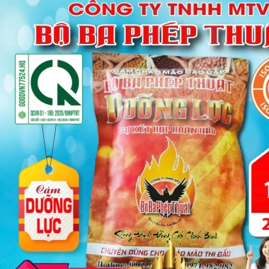 Cám Chào Mào Bộ Ba Phép Thuật 200g - Cám Mộc Bổi Dưỡng Đấu, Tăng Lực Cao Cấp Chính Hãng Giá 50.000₫ 10