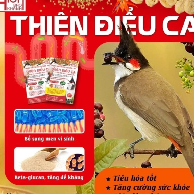 Cám chim chào mào Thiên Điểu Dưỡng hót 200g Dưỡng lông nuôi hót chính hãng giá ưu đãi 58.500₫ 3