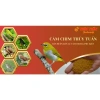 Cám chim Tổng hợp Thúy Tuấn cao cấp 200-400g - Giá chỉ 20.000 VND, dinh dưỡng tối ưu cho chim 5
