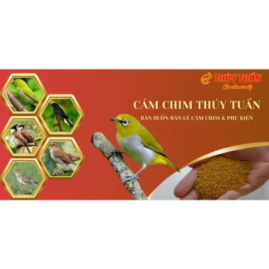 Cám chim Tổng hợp Thúy Tuấn cao cấp 200-400g - Giá chỉ 20.000 VND, dinh dưỡng tối ưu cho chim