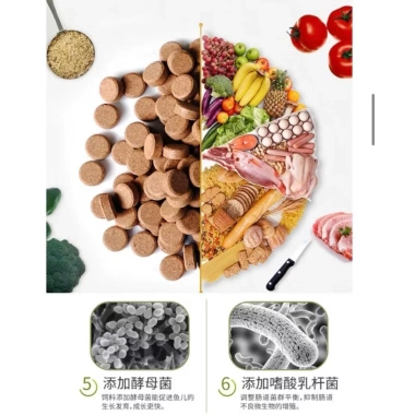 Cám dán Artemia 70g đa năng - Dán hồ kính, xi măng, thùng xốp, giá ưu đãi 75.000₫ 7