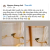 Cám Hút Mật Dưỡng Tài Lê Combo 10 Gói Xanh - Năng Lượng Tự Nhiên Cho Chim, Giá ưu đãi 205.000 VND 5