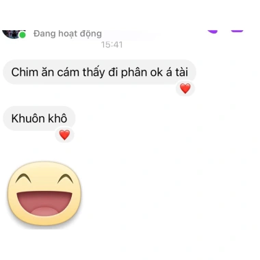 Cám Hút Mật Dưỡng Tài Lê Combo 10 Gói Xanh - Năng Lượng Tự Nhiên Cho Chim, Giá ưu đãi 205.000 VND