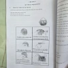 Cẩm Nang Nhuộm Màu Tóc - Học Nhuộm Cơ Bản Giá 120k, Bí Kíp Tạo Màu Đẹp, Nhanh và Tiết Kiệm 5