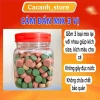 Cám Trùng Huyết Artemia Sấy Khô T5 - Thức Ăn Top 1 Cho Cá Cảnh, Giá 9.992₫ 9