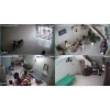 Camera ngoài trời 360 WiFi, 4 LED + hồng ngoại, BH 12t, free ship, 1.479.000₫ 5