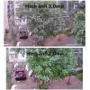 Camera ngoài trời 360 WiFi, 4 LED + hồng ngoại, BH 12t, free ship, 1.479.000₫ 6