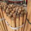 Cán chổi gỗ bạch đàn phi 2,8-3,2cm dài 115cm, giá ưu đãi 10.000đ 3