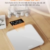 Cân Điện Tử Ajido S1 Lite – Cân Ký Thông Minh, Đo Sức Khỏe, Giá 285.000 giảm từ 342.000 5
