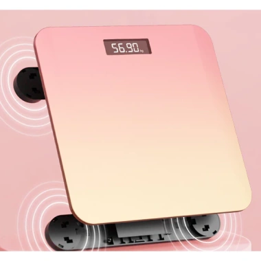 Cân điện tử Bluetooth ZODAN BL998 đo INBODY, có video, BH 1 năm - Giá chỉ 79.000 VND
