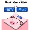 Cân điện tử mặt kính cường lực cao cấp, kèm pin, thiết kế mèo Kitty Labubu và Heo gấu vui nhộn, cân sức khỏe 79.000₫ 2