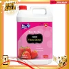 Can Nước rửa tay Mr.Fresh 5L hương dâu - khử mùi, diệt vi khuẩn, giá chỉ 199.000đ 3