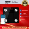 Cân sức khỏe điện tử Camry cao cấp thế hệ mới - Tặng pin, bảo hành chính hãng, 175.000₫ 9