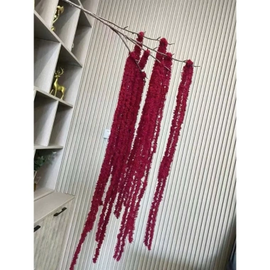 Cành Bông Rủ Trang Trí Tiệc & Lễ Hội - Giá Gốc 40,320đ, Giảm 32,000đ - TâmKemDecor 2