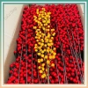 Cành đào đông đỏ 12 nhánh, vàng - Cắm bình Tết, cành dẻ quạt, tú cầu nhũ, 15.000₫ 2